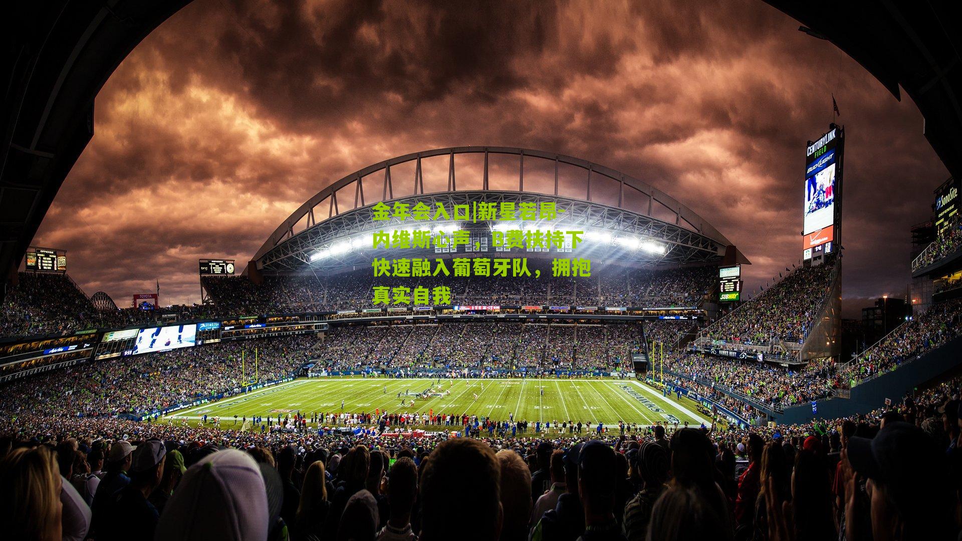 新星若昂-内维斯心声，B费扶持下快速融入葡萄牙队，拥抱真实自我